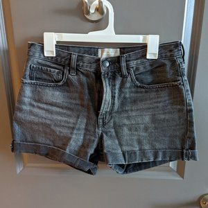 Everlane The Denim Short